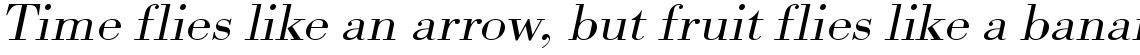 URW Bodoni light extra wide oblique