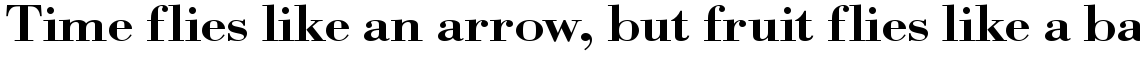 URW Bodoni medium extra wide