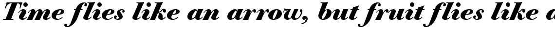 URW Bodoni Old Fashion bold italic