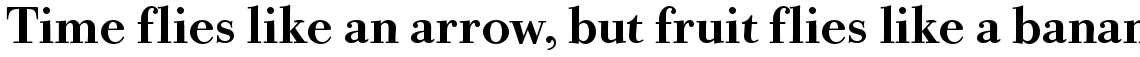 URW Bodoni Old Fashion medium