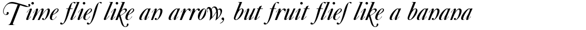 Caslon 540 Swash Alternative italic (D)