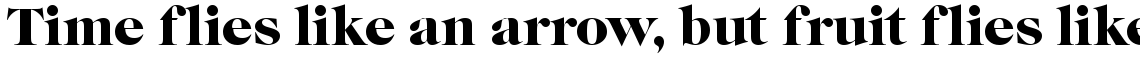 Caslon Graphique standard (D)