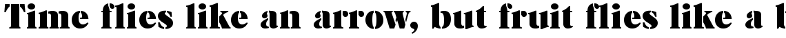 Caslon Stencil standard (D)