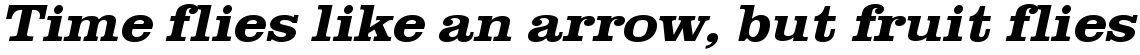 URW Clarendon bold extra wide oblique
