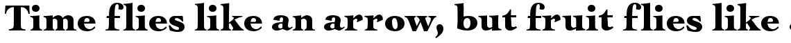 URW Cochin black