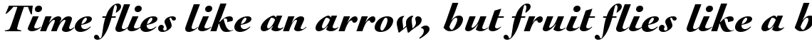 URW Cochin black italic