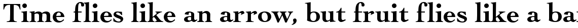 URW Cochin bold