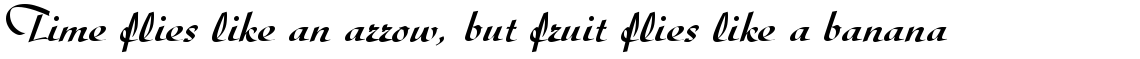 Diskus medium (D)