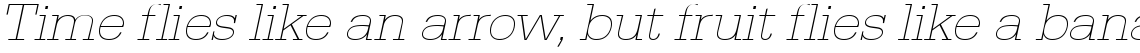 URW Egyptienne extra light wide oblique