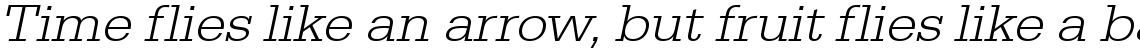 URW Egyptienne light wide oblique