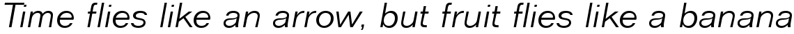 Folio light italic