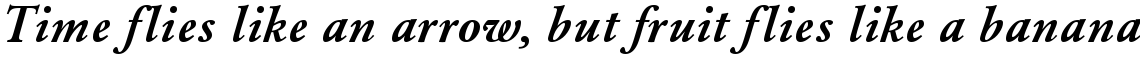 URW Garamond demi italic