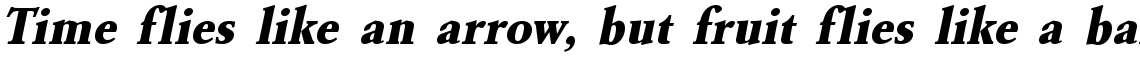 URW Garamond extra bold narrow oblique