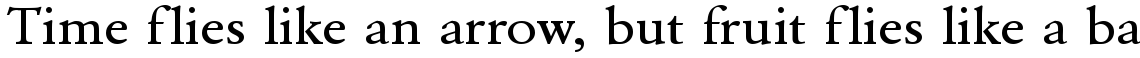URW Garamond medium extra wide