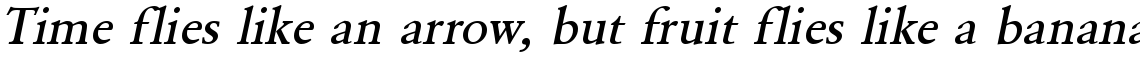 URW Garamond medium oblique
