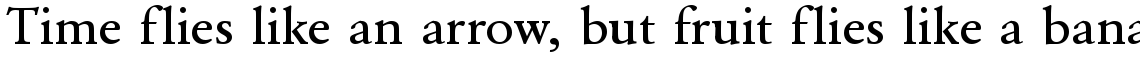 URW Garamond medium wide