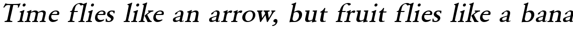 URW Garamond medium wide oblique