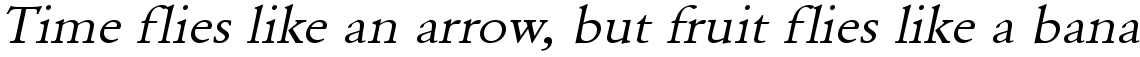 URW Garamond regular extra wide oblique