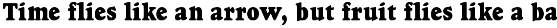 Goudy Heavyface condensed (D)