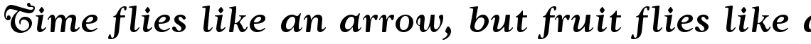 WTC Goudy Swash medium italic