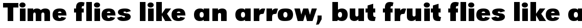 URW Grotesk 2031 bold