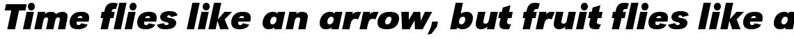 URW Grotesk 2031 bold italic