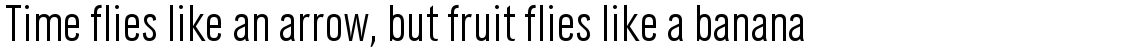 URW Grotesk E 2012 light condensed