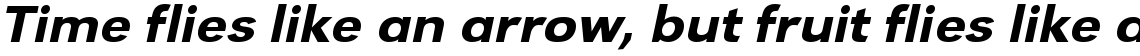 URW Grotesk medium extra wide oblique