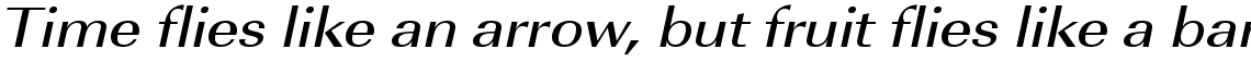 URW Imperial medium extra wide oblique