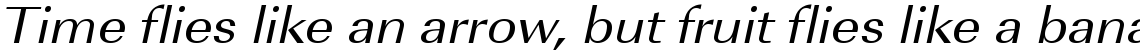URW Imperial regular extra wide oblique