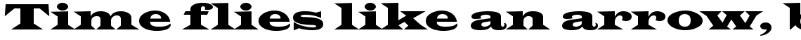 Latin Wide standard (D)
