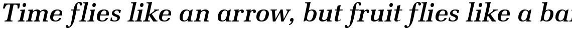 URW Latino medium italic