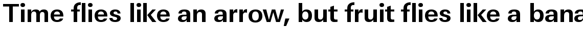 URW Linear bold