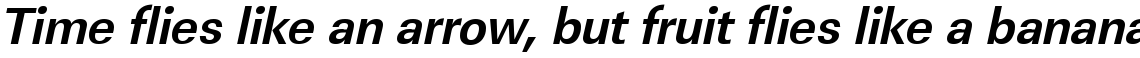 URW Linear bold narrow oblique