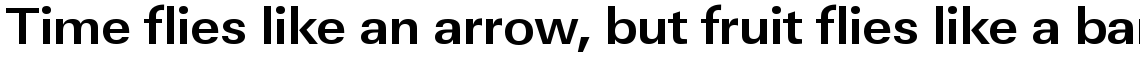 URW Linear bold wide