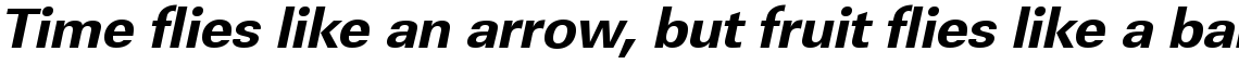 URW Linear extra bold oblique