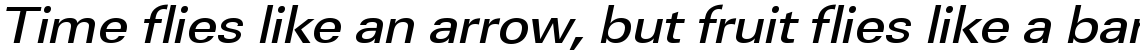 URW Linear medium extra wide oblique
