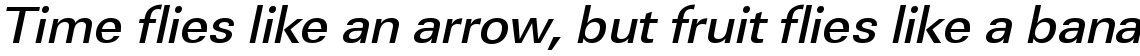 URW Linear medium wide oblique