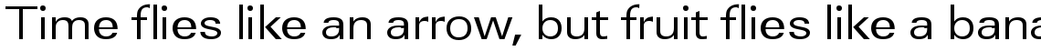 URW Linear regular extra wide
