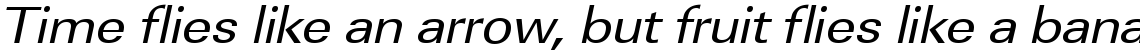 URW Linear regular extra wide oblique