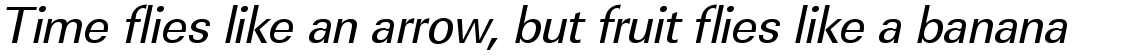 URW Linear regular narrow oblique
