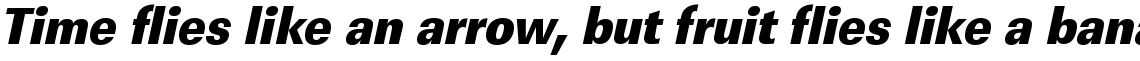 URW Linear ultra bold extra narrow oblique