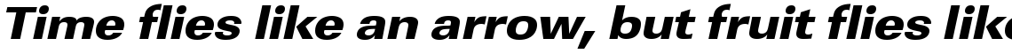 URW Linear ultra bold extra wide oblique