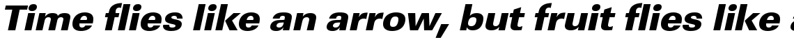 URW Linear ultra bold wide oblique