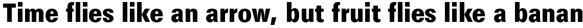 Maxima bold condensed