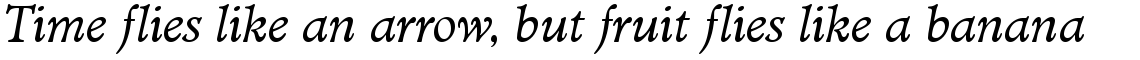 Minister book italic