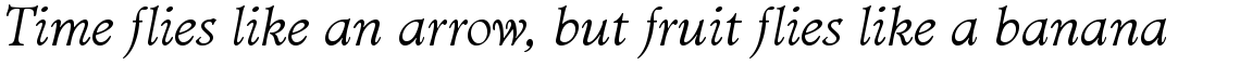 Minister light italic
