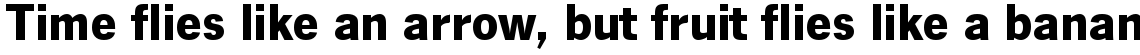 News Gothic bold