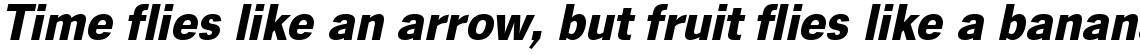 News Gothic bold oblique