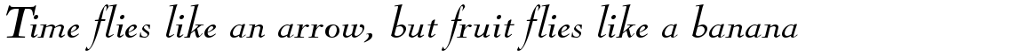 Nicolas Cochin regular italic